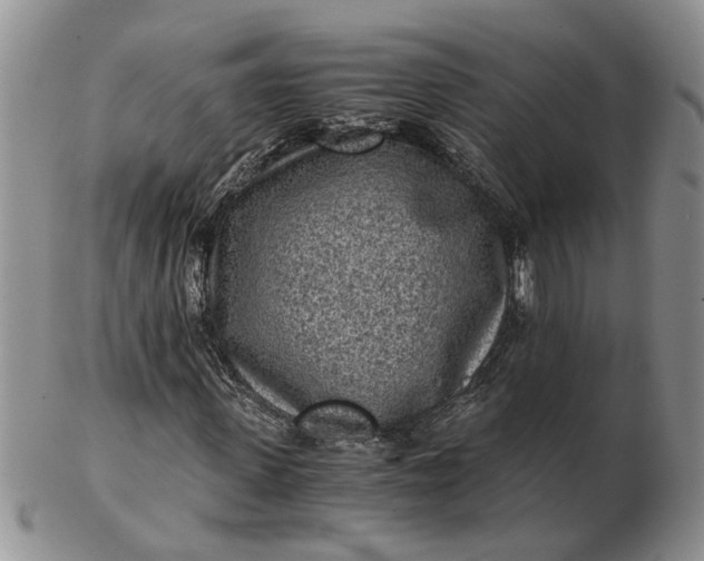 X0000103160915200809051656