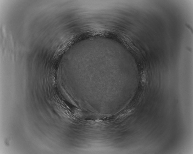 X0000103160916200809051656