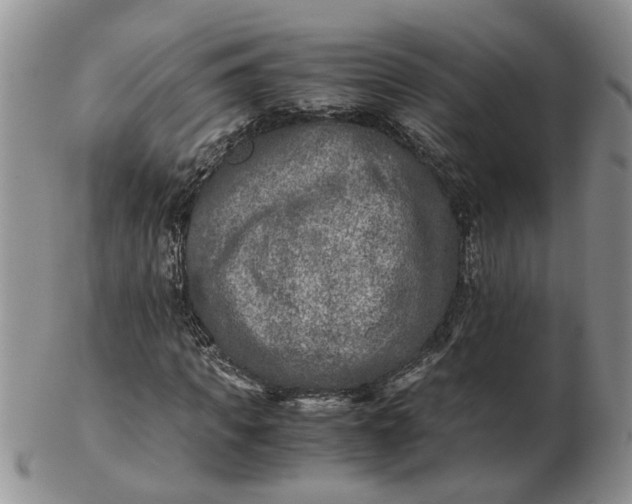 X0000103160917200809051656