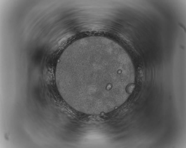 X0000103160918200809051656