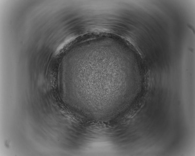 X0000103160919200809051656