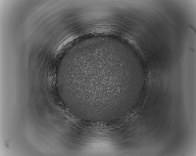 X0000103160920200809051656