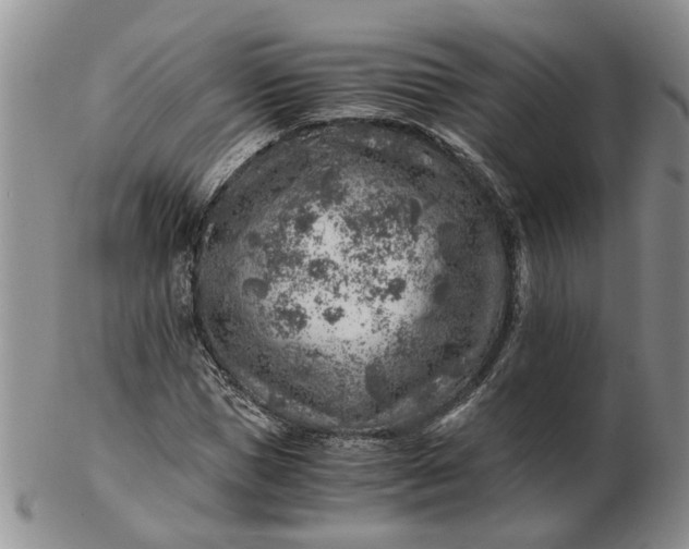 X0000103160921200809051656