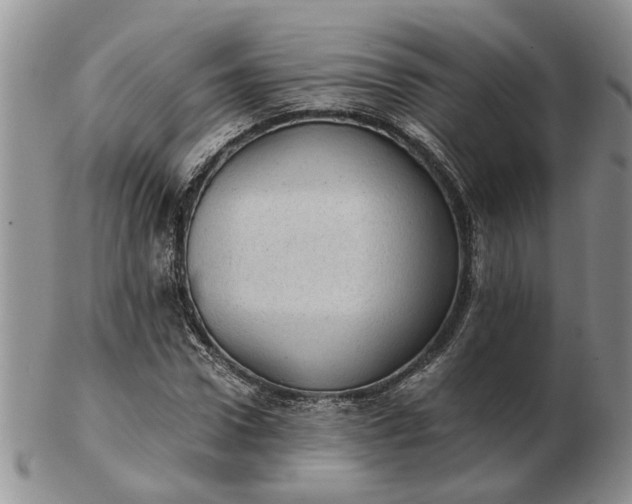 X0000103160922200809051656