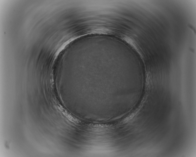 X0000103160923200809051656