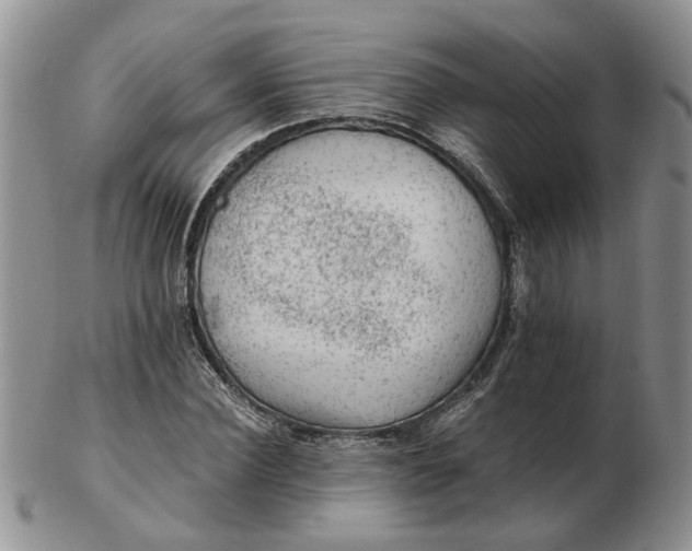 X0000103160924200809051656