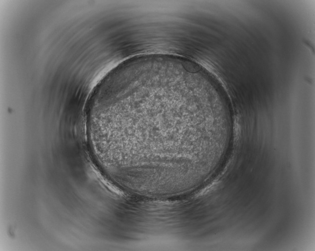 X0000103160925200809051656