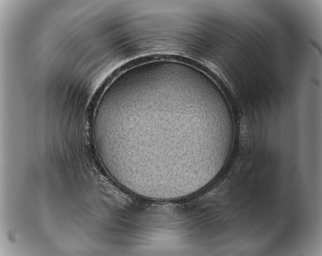 X0000103160926200809051656