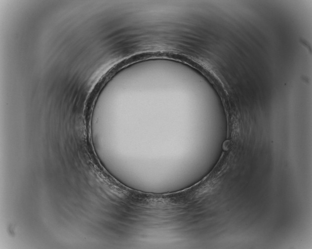 X0000103160927200809051656