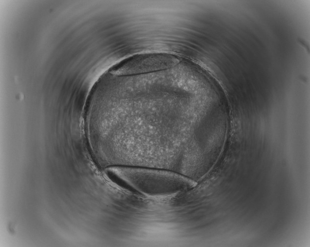 X0000103160928200809051656