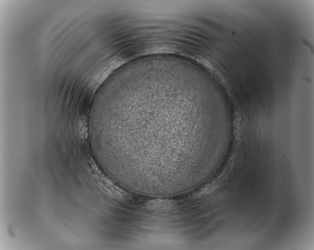 X0000103160929200809051656