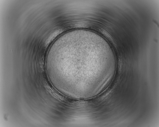 X0000103160930200809051656