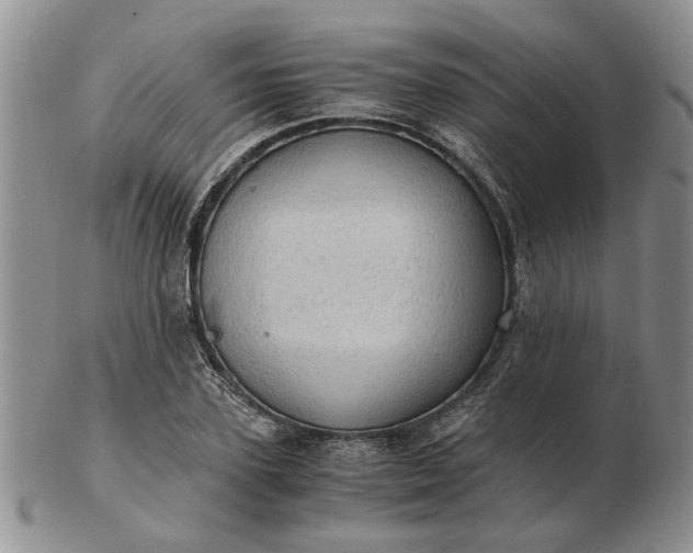 X0000103160931200809051656