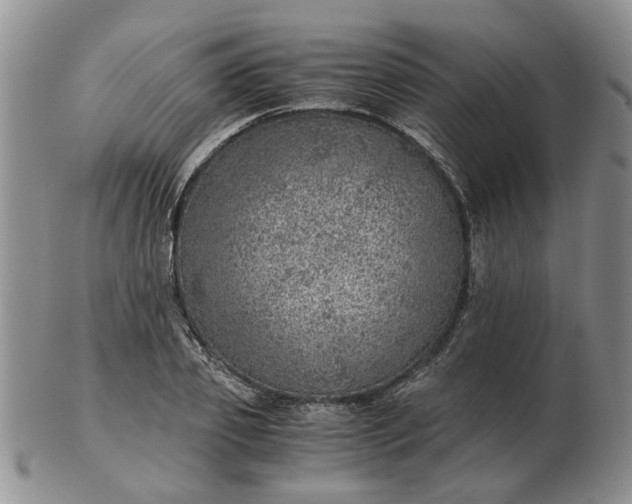 X0000103160933200809051656