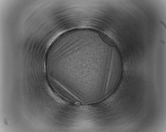 X0000103160934200809051656