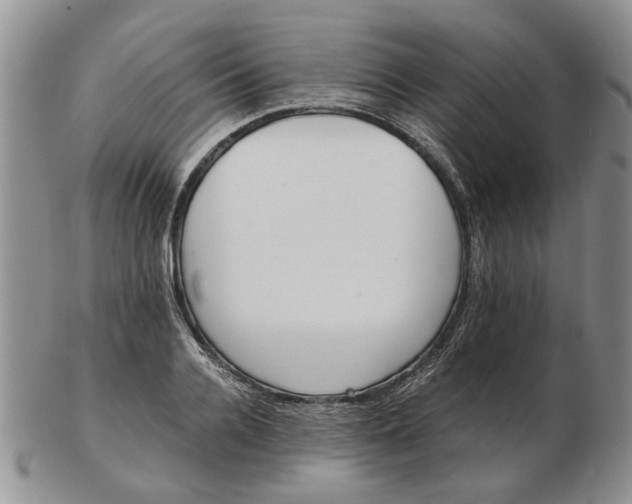 X0000103160936200809051656