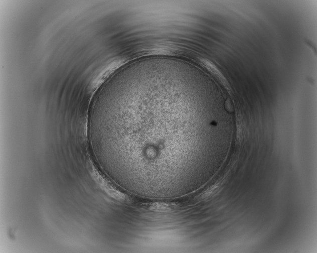 X0000103160938200809051656