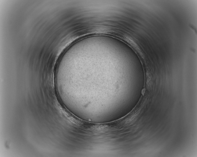 X0000103160939200809051656