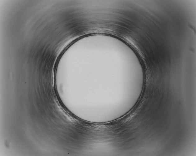 X0000103160940200809051656