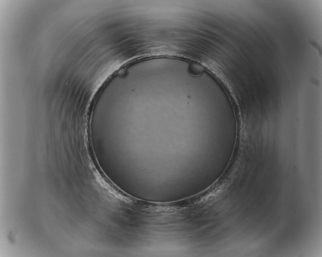 X0000103160941200809051656