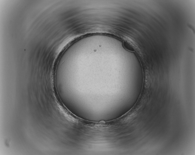 X0000103160942200809051656