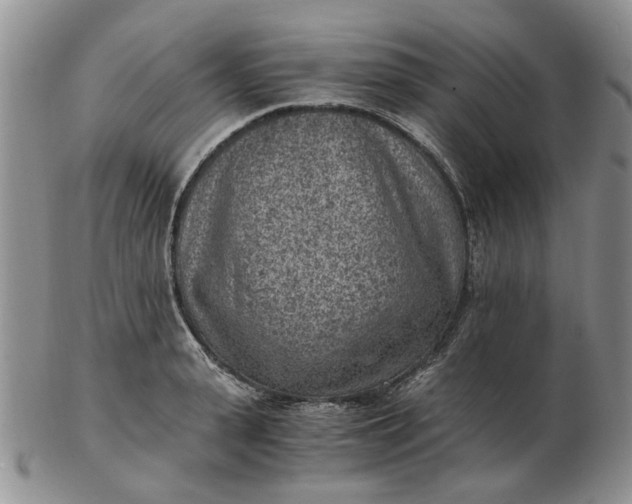 X0000103160943200809051656