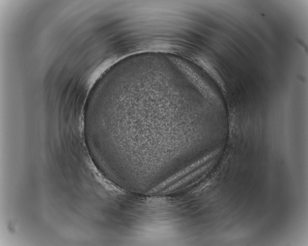 X0000103160944200809051656