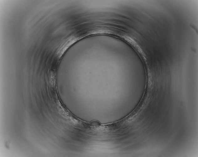 X0000103160945200809051656