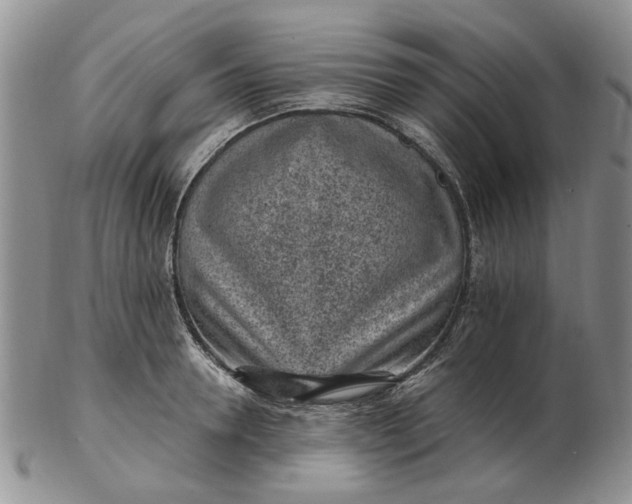 X0000103160946200809051656