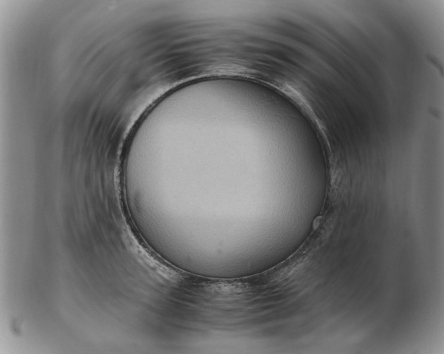 X0000103160947200809051656