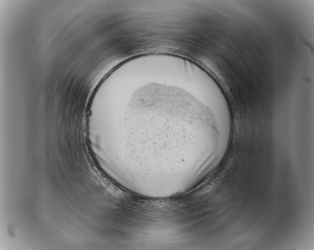 X0000103160948200809051656