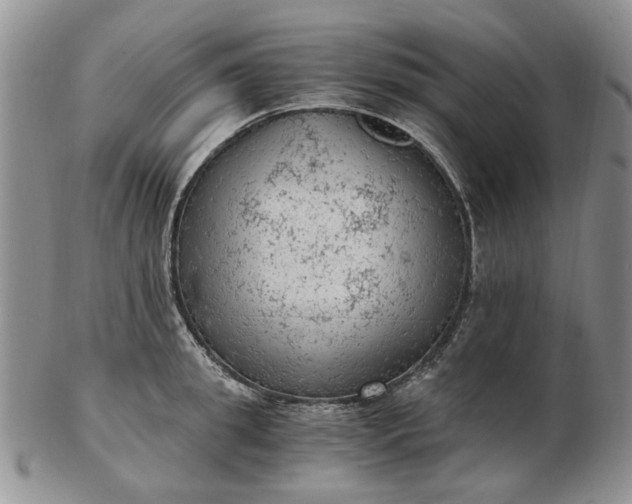 X0000103160949200809051656