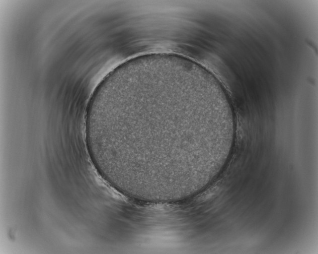 X0000103160950200809051656