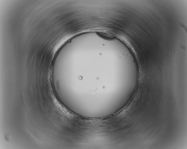 X0000103160952200809051656