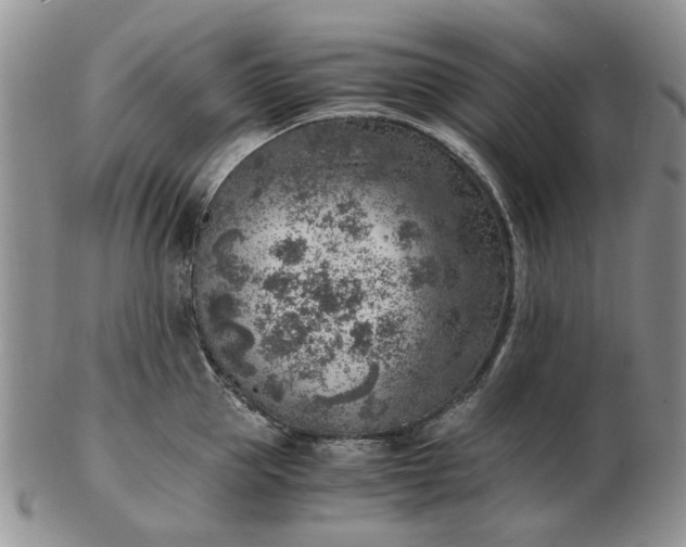 X0000103160953200809051656