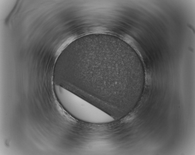 X0000103160954200809051656