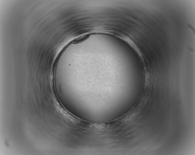 X0000103160955200809051656