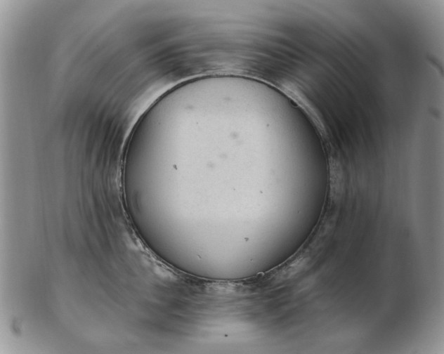 X0000103160956200809051656