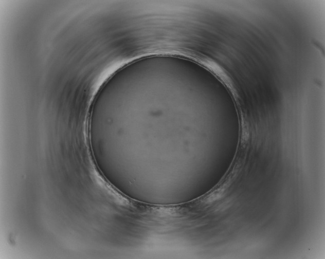 X0000103160958200809051656