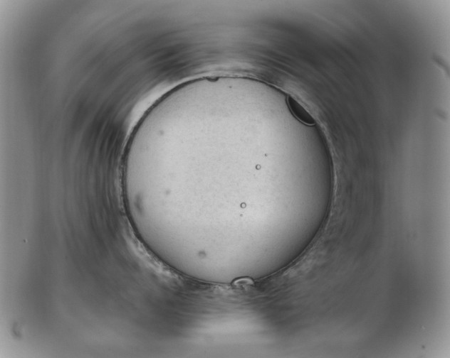 X0000103160960200809051657