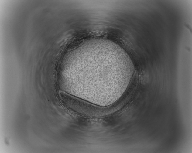 X0000103160961200809051656