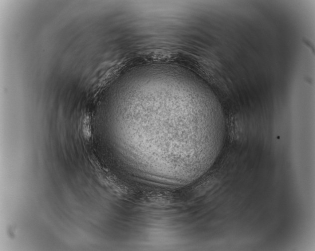 X0000103160962200809051656