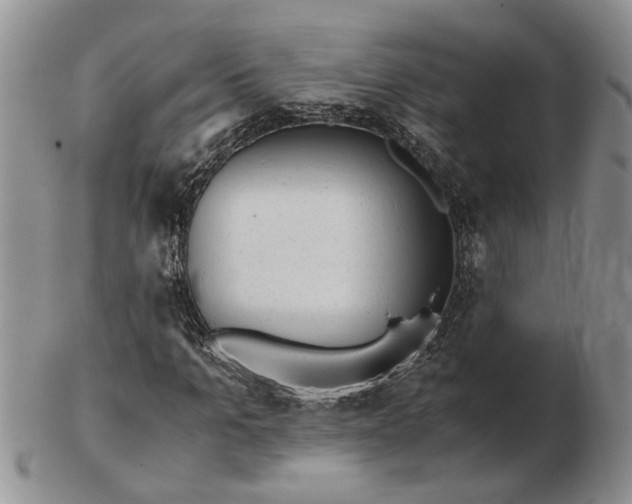 X0000103160965200809051656