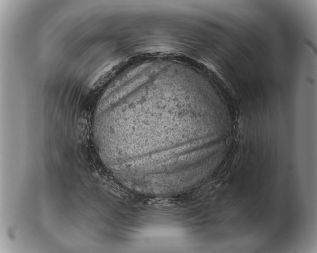 X0000103160967200809051656