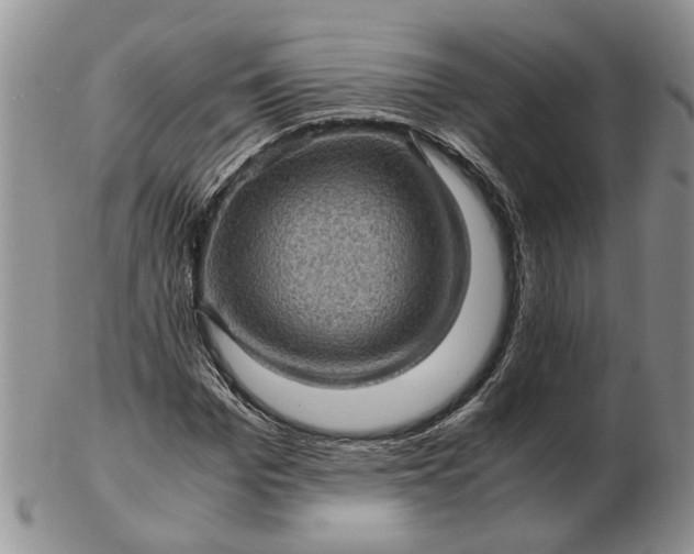 X0000103160969200809051656