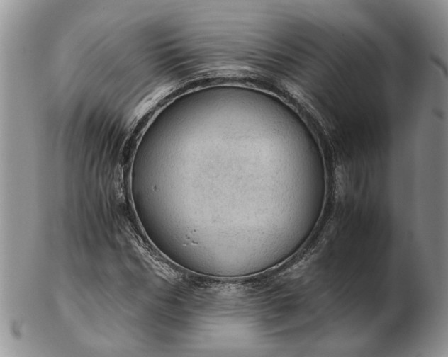 X0000103160970200809051656