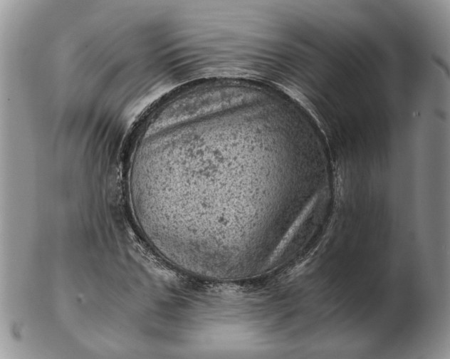 X0000103160971200809051656