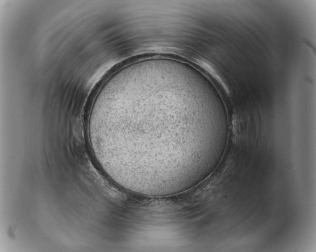 X0000103160972200809051656