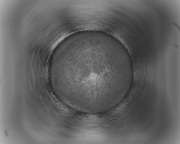 X0000103160975200809051656