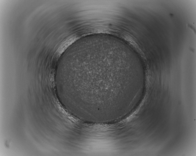 X0000103160977200809051656